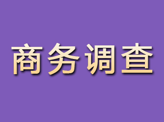 峨山商务调查